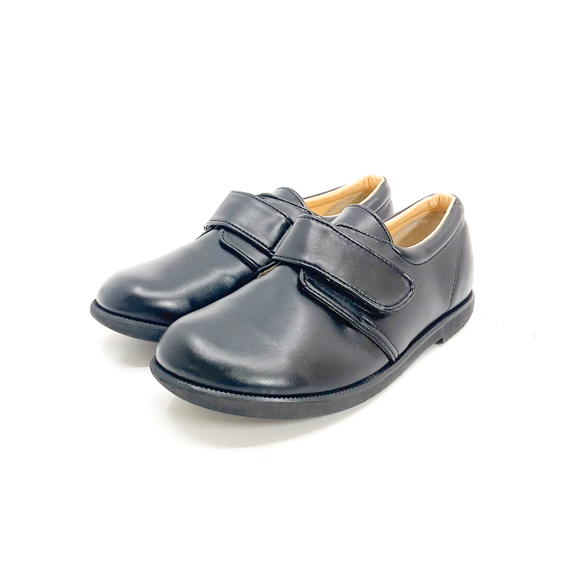 tortoise - 画像 (6)