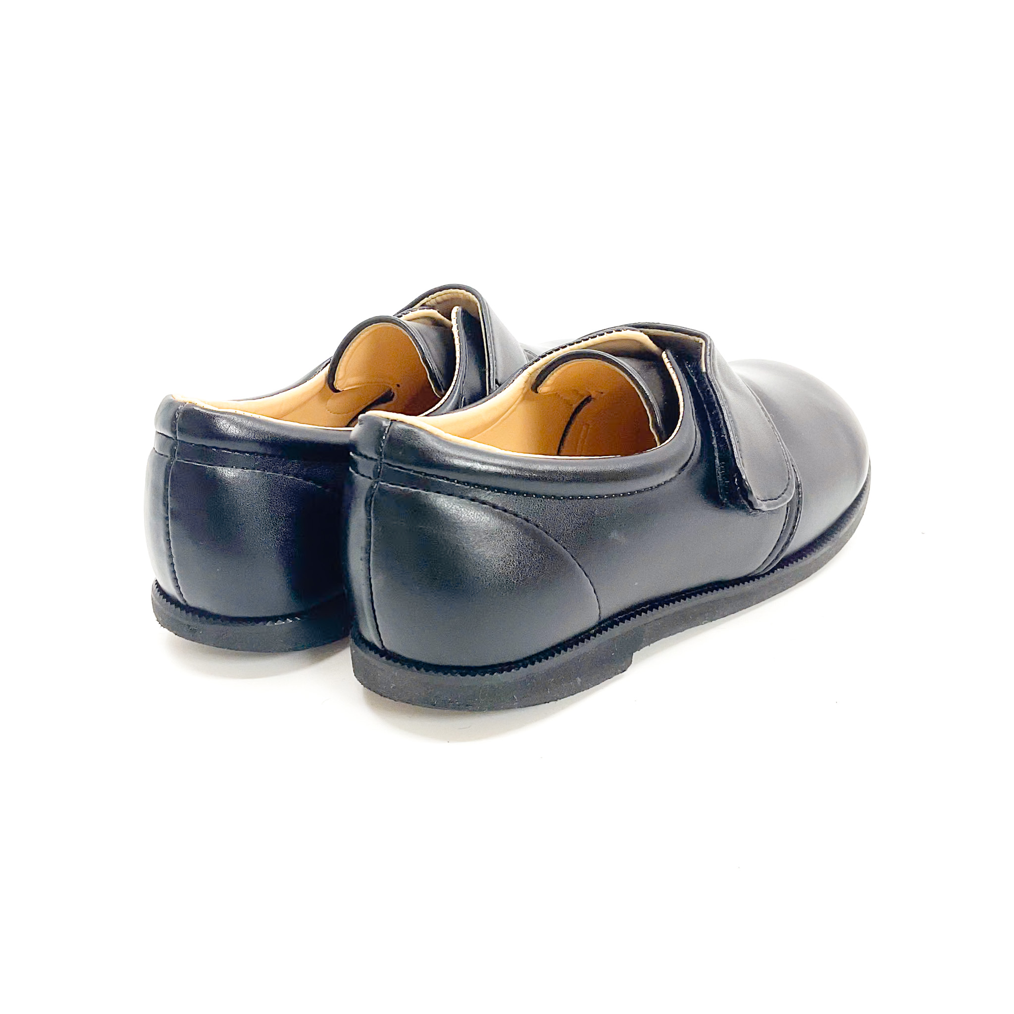 tortoise - 画像 (5)