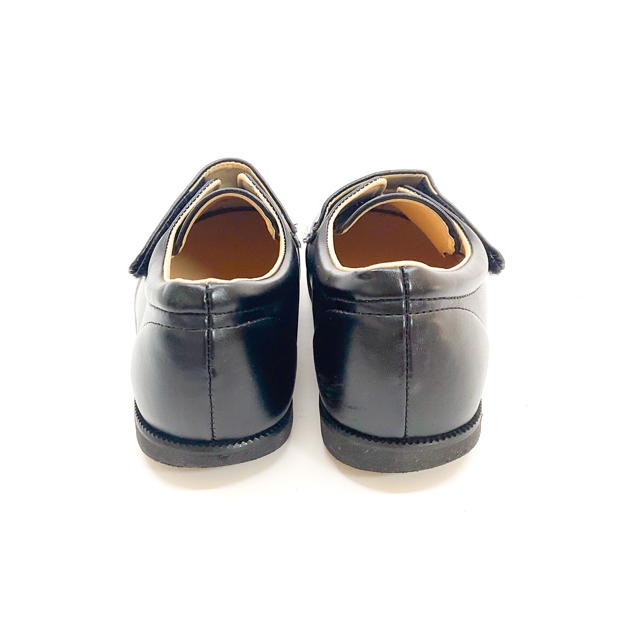 tortoise - 画像 (4)