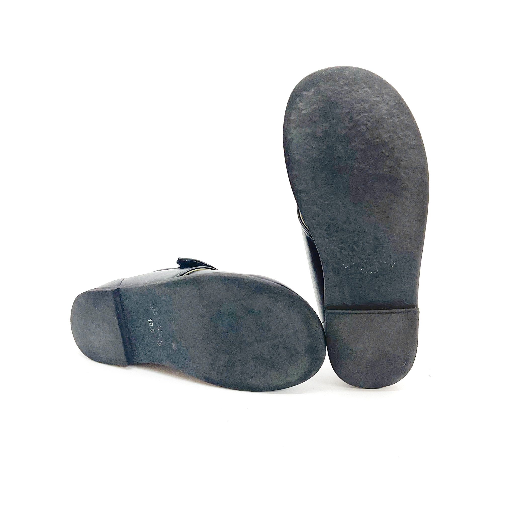 tortoise - 画像 (3)