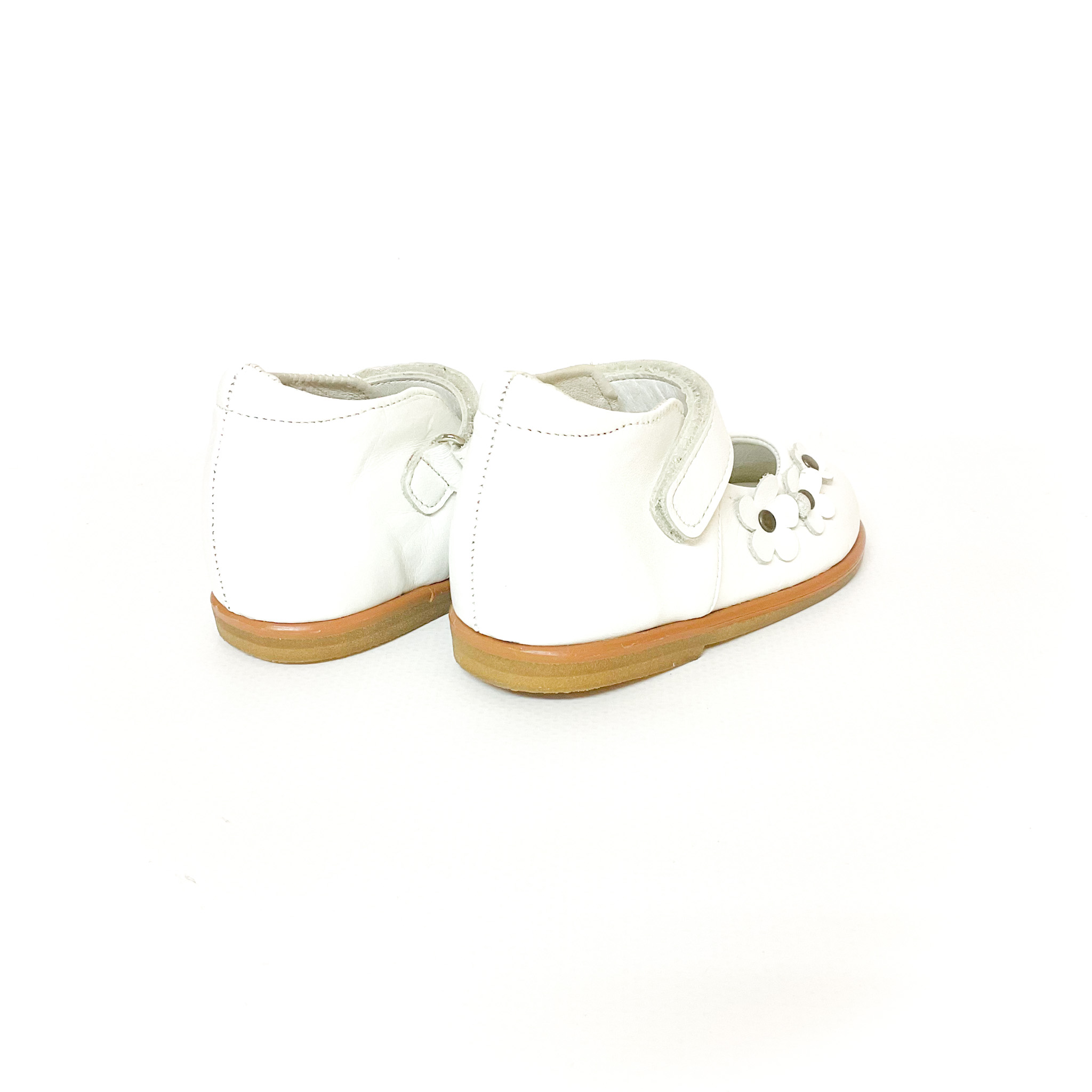 tortoise - 画像 (3)