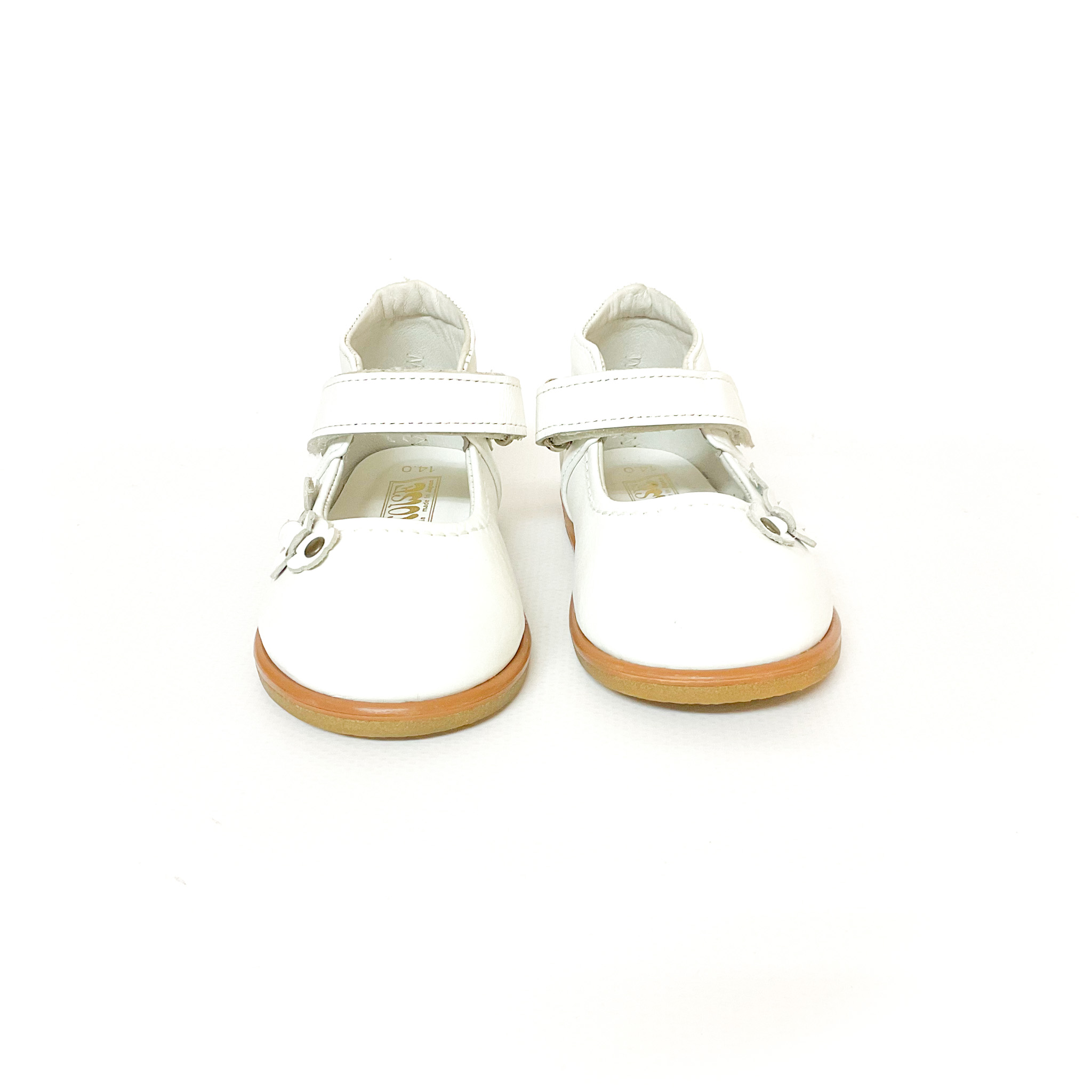 tortoise - 画像 (4)