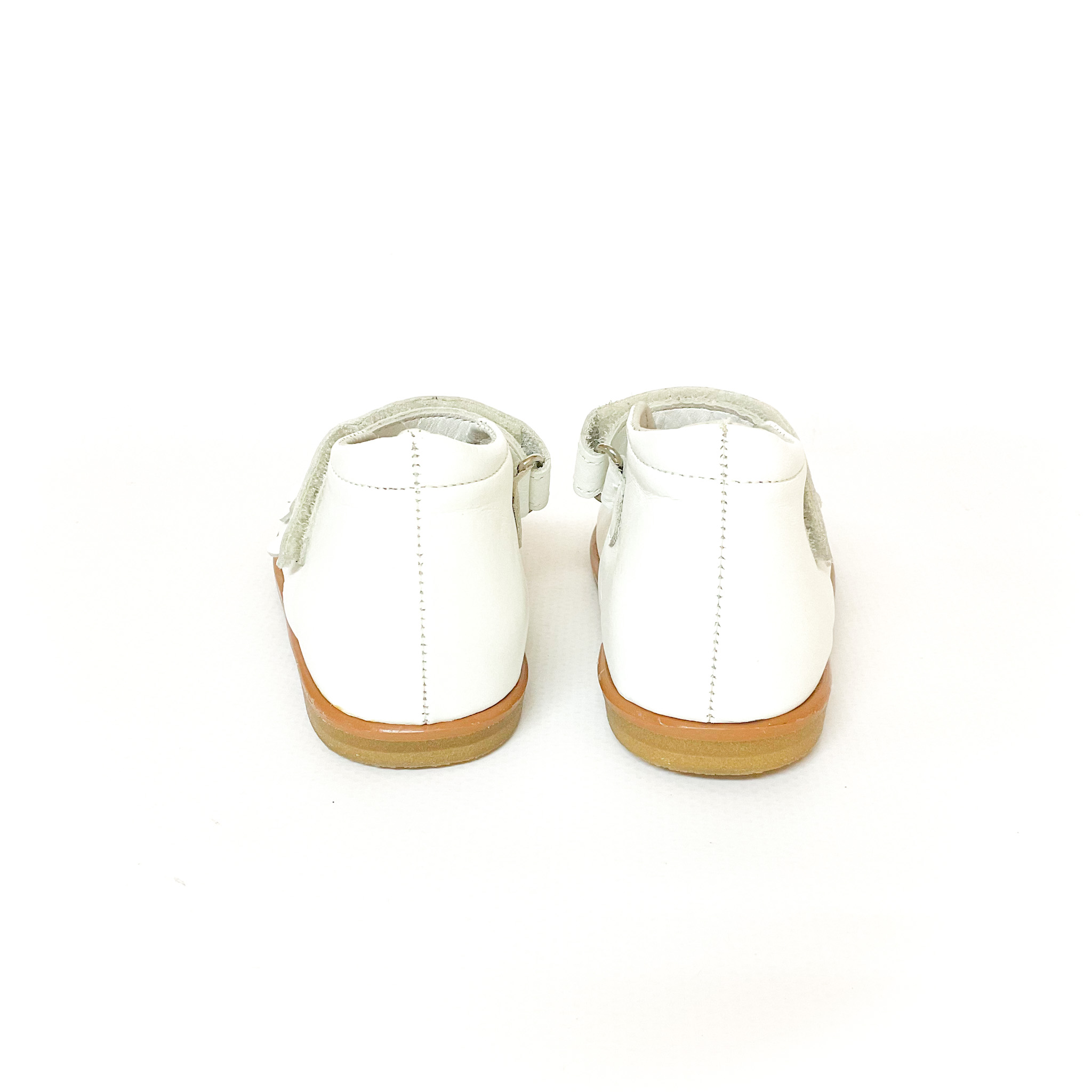 tortoise - 画像 (5)