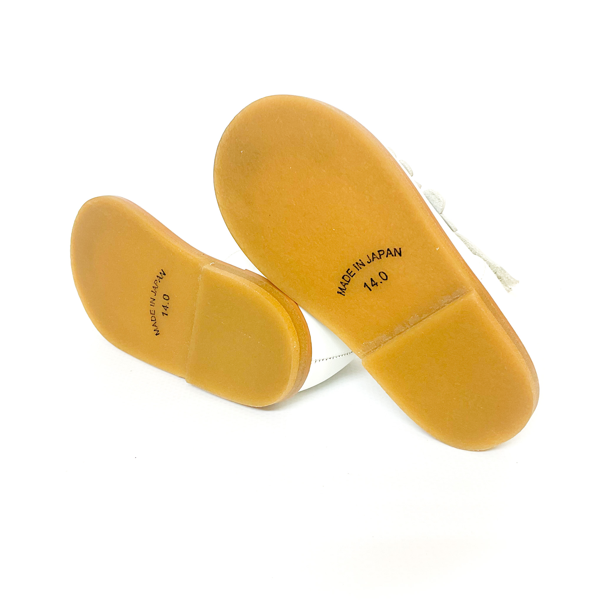 tortoise - 画像 (6)