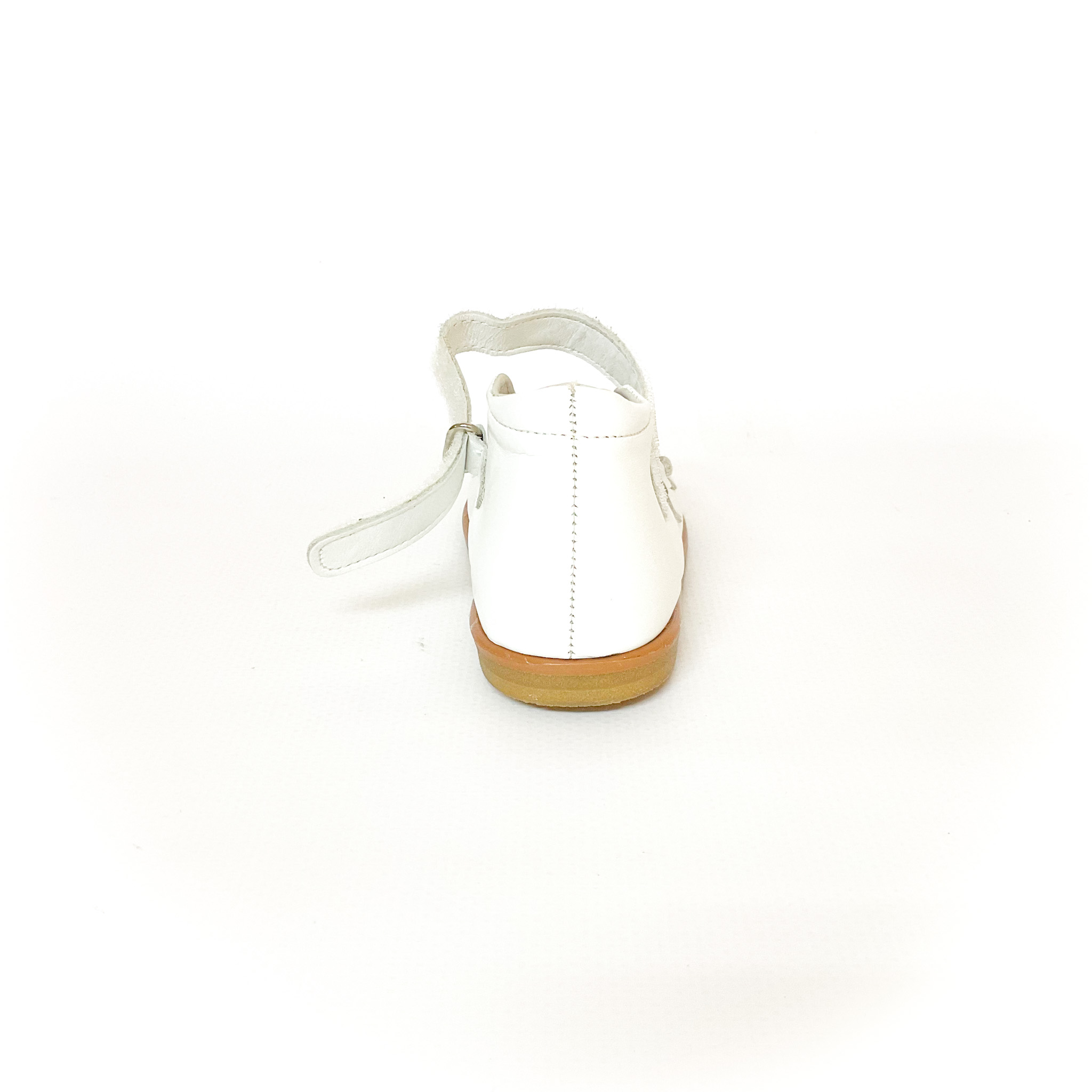 tortoise - 画像 (7)