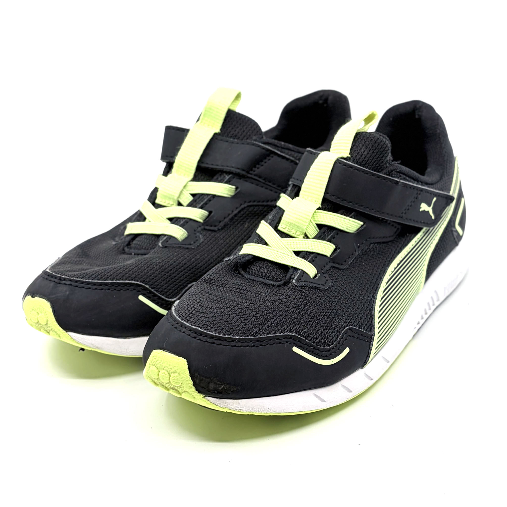 puma - 画像 (2)